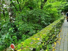 -太鲁阁公园