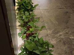 -禧瑞 ·丝浴主题·水疗·spa(中山公园店)