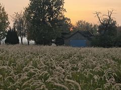 -汉长安城未央宫国家考古遗址公园