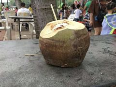 -万绿园
