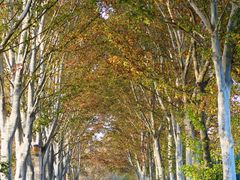 -河南省黄河迎宾馆