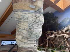 -延庆地质公园博物馆