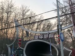 -枫花园汽车电影院(朝阳公园店)