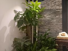 -羲和雅苑•北京烤鸭(国贸商城店)