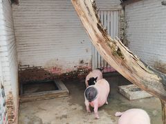 -J Create城市露营咖啡·简餐·宠物(上海动物园店)