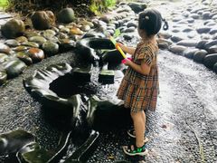 -成都市活水公园