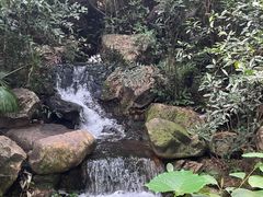 -广州兰圃