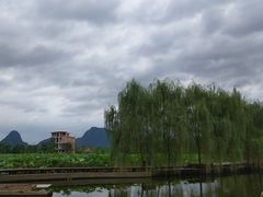 -会仙湿地
