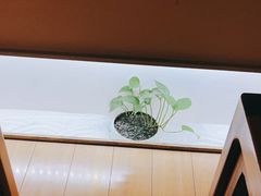-常乐·对症推拿(解放碑英利大融城店)