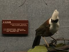 -昆明动物博物馆