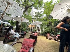 -Fern Forest Cafe