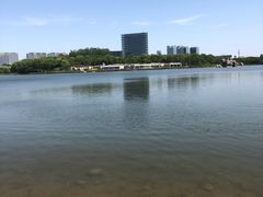 -大兴滨河森林公园