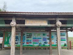 -北海金海湾红树林生态旅游区