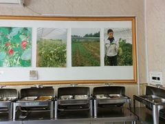 -简心素爱素食自助餐厅