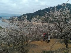-广州市流溪河国家森林公园