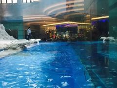 -帝企鹅自助餐厅•儿童岛•真企鹅(长隆企鹅酒店)