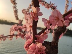 -万柳阁小馆·花园餐厅(龙潭湖店)