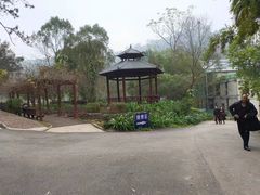 -南宁良凤江国家森林公园