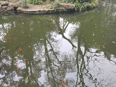 -南山植物园