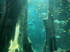 -福州罗源湾海洋世界旅游区