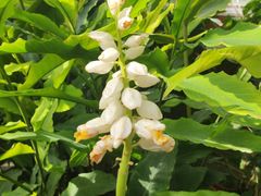 -北京植物园-展览温室