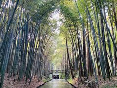-同里国家湿地公园