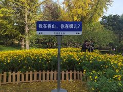 -香山公园
