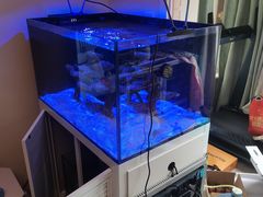 -青石桥花鸟鱼虫市场(叠翠城店)