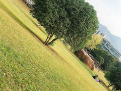 -浙江科技大学(小和山校区)