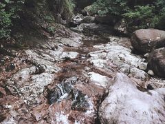-湖州龙王山景区