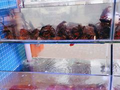 -饶福记·南昌烧烤大排档(九龙湖土著店)