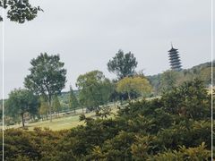 -宜兴龙背山森林公园