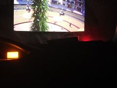 -枫花园汽车电影院(朝阳公园店)