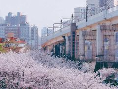 -上海外滩雅致酒店