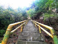 -卧牛山森林公园