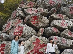 -龙道沟景区