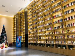 -深影国际影城(学院南路店CGS中国巨幕店)