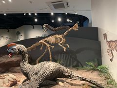 -自贡恐龙博物馆