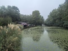 -洛阳市隋唐城遗址植物园