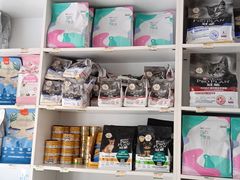 -宠福鑫康馨动物医院·骨科·眼科