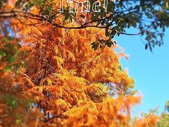 -南京市无想山景区