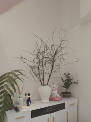 -WENDY·温迪皮肤管理