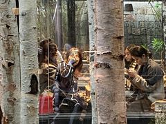 -Metal hands·铁手咖啡