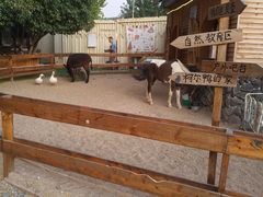 -HERRE·FARM 赫尔露营农场·团建聚会包场