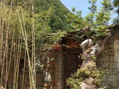 -终南山国家森林公园