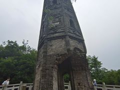 -上海佘山国家森林公园天马山园