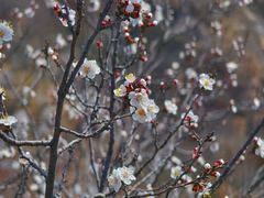 -蟠龙山长城景区