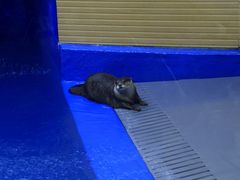 -太平洋海底世界