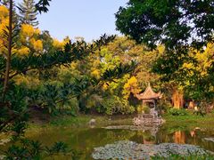 -深圳国际园林花卉博览园