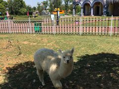 -云漫湖生态度假公园